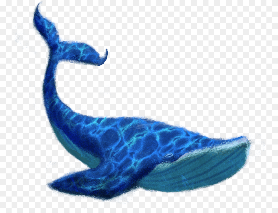 Blue Whale No Background, Water, Land, Nature, Outdoors Free Png