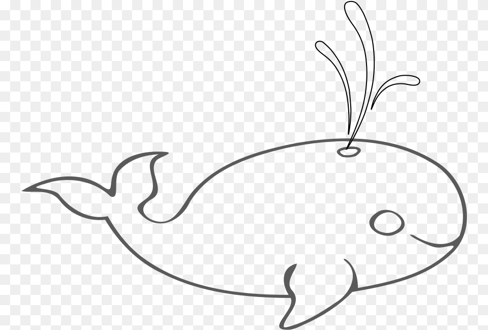 Blue Whale Outline Rooweb Clipart Outline Picture Of Blue Whale, Silhouette, Animal, Fish, Sea Life Png Image