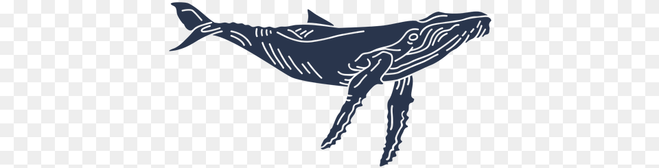 Blue Whale Sea Animal Silhouette Baleen Whale, Mammal, Sea Life, Person Free Png Download
