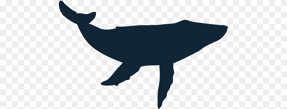 Blue Whale Silhouette At Getdrawings Humpback Whale Whale Silhouette, Animal, Sea Life, Mammal, Person Free Png Download