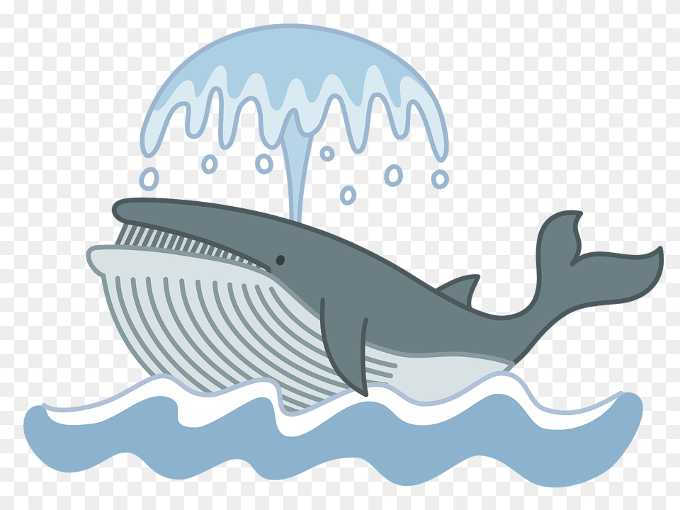 Blue Whale Spouting Clipart, Animal, Mammal, Sea Life, Fish Png Image