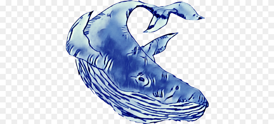 Blue Whale Trading Company Blue Whale Trading Company, Animal, Fish, Sea Life, Shark Free Png Download