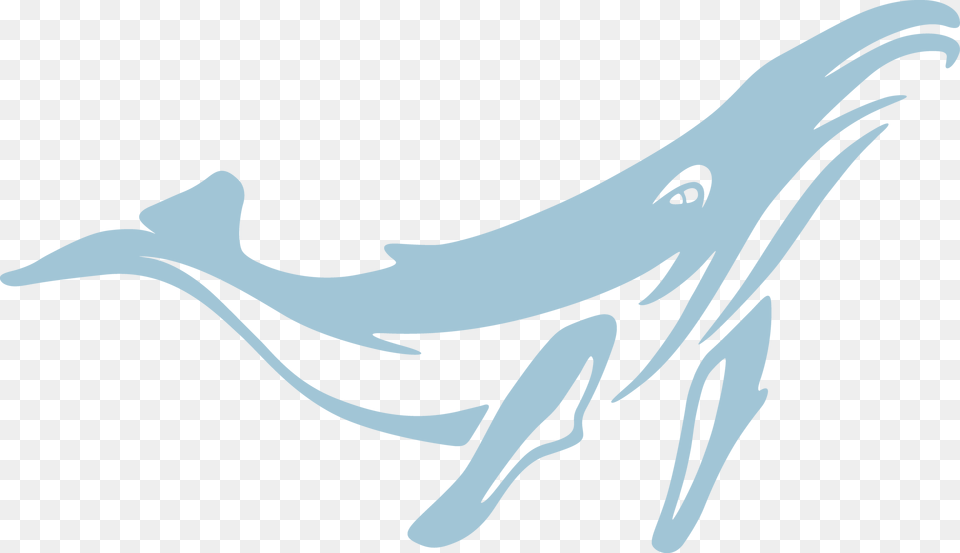 Blue Whale Vector, Animal, Dolphin, Mammal, Sea Life Free Png