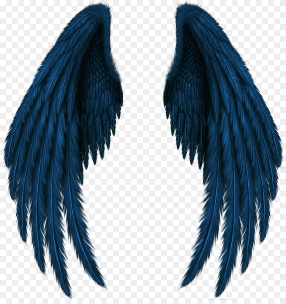 Blue Wings, Animal, Bird, Angel Png Image