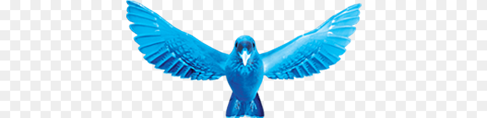 Blue Wings Character Blue Wings, Animal, Bird, Person Free Png Download