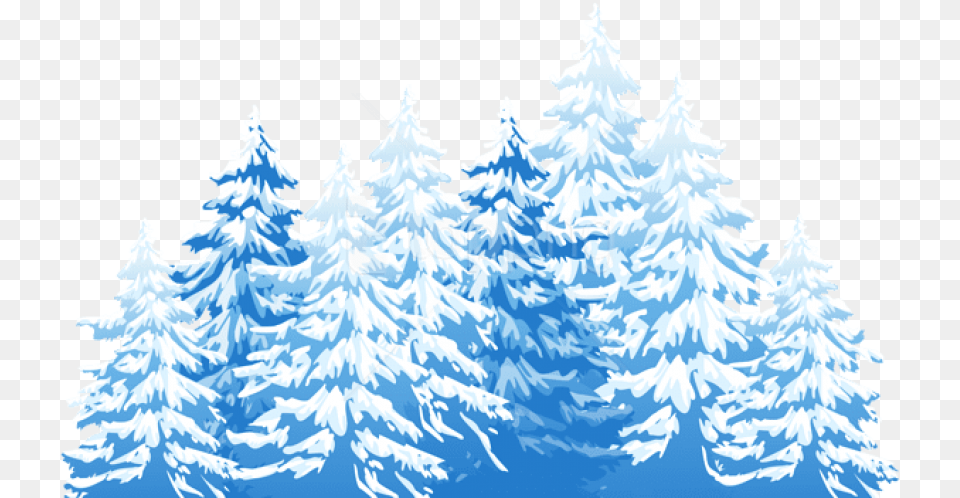 Blue Winter Pine Trees, Plant, Fir, Tree, Ice Png Image