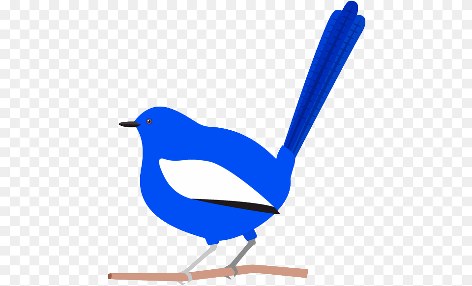 Blue Wren Cartoon, Animal, Bird Png Image