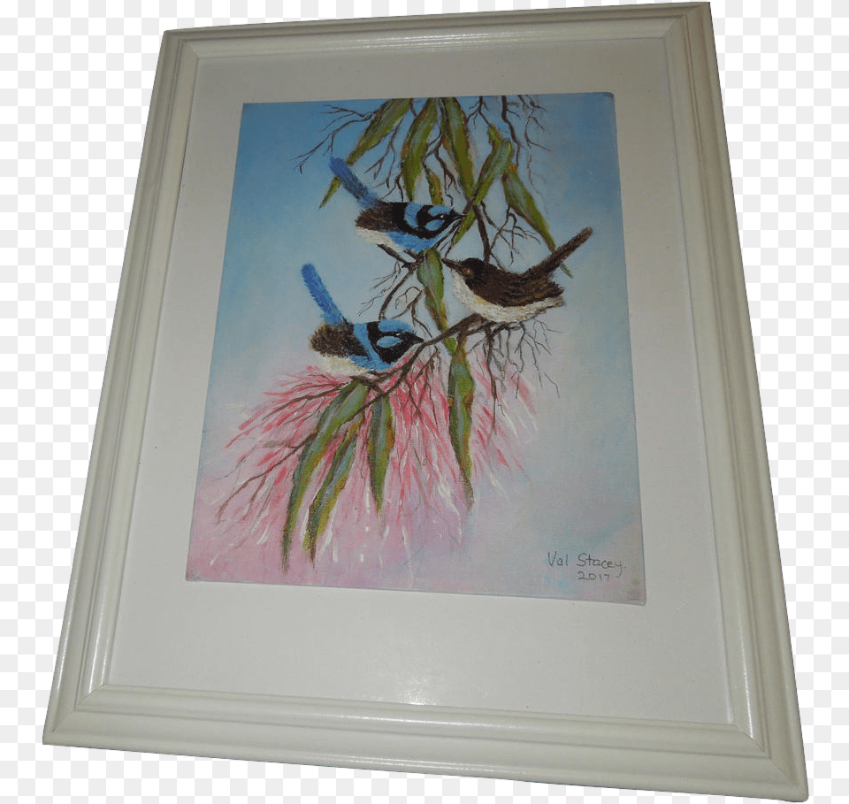 Blue Wren Paintings Superb Fairywren, Art, Painting, Animal, Bird Png