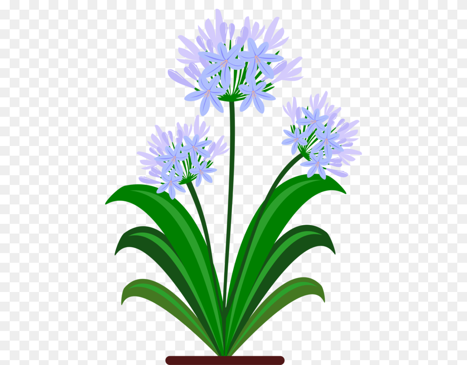 Blue Yellow Flower Green Violet, Plant, Flower Arrangement Free Png