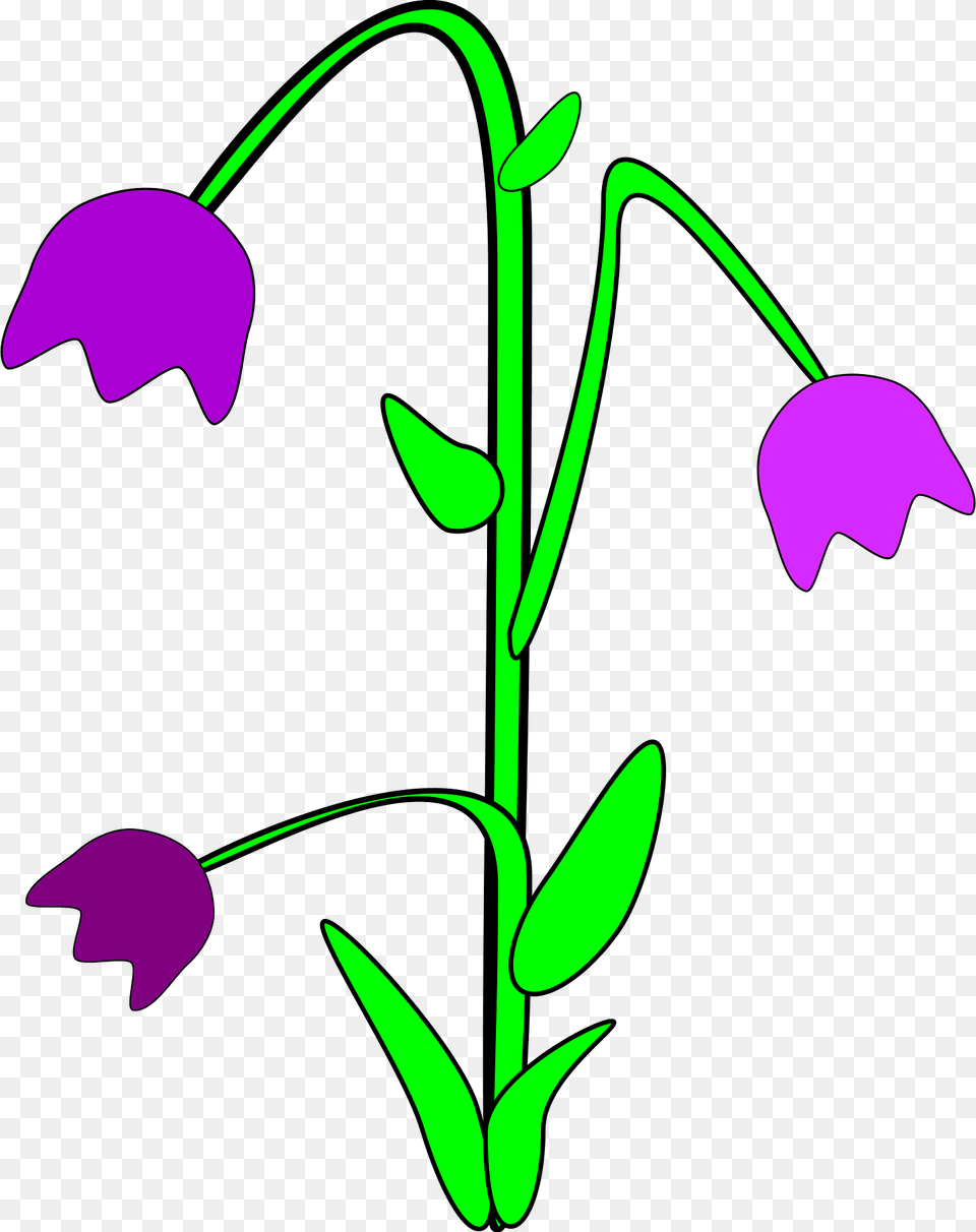Bluebell Clipart, Flower, Petal, Plant, Dynamite Free Png