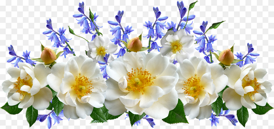 Bluebells Flowers, Anemone, Flower, Flower Arrangement, Flower Bouquet Free Png Download
