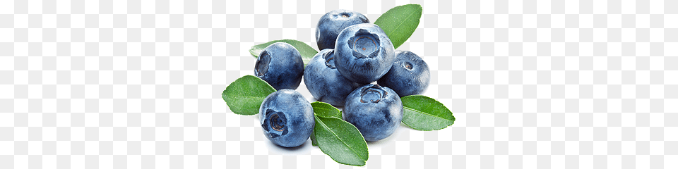 Blueberries, Berry, Blueberry, Food, Fruit Png