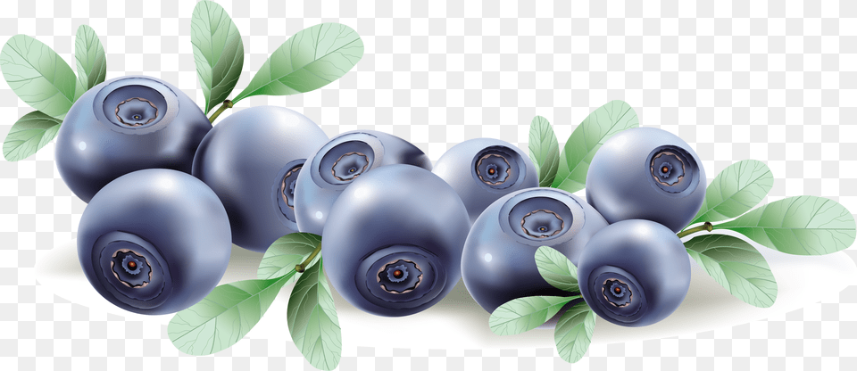 Blueberries, Produce, Berry, Blueberry, Plant Png