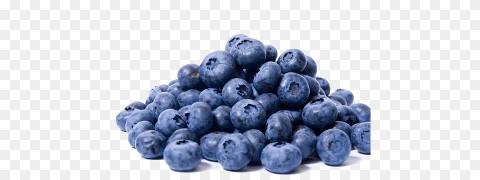 Blueberries, Berry, Blueberry, Food, Fruit Free Png Download