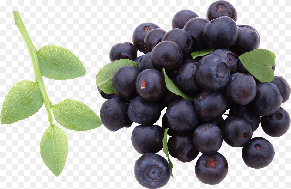 Blueberries Free Png Download