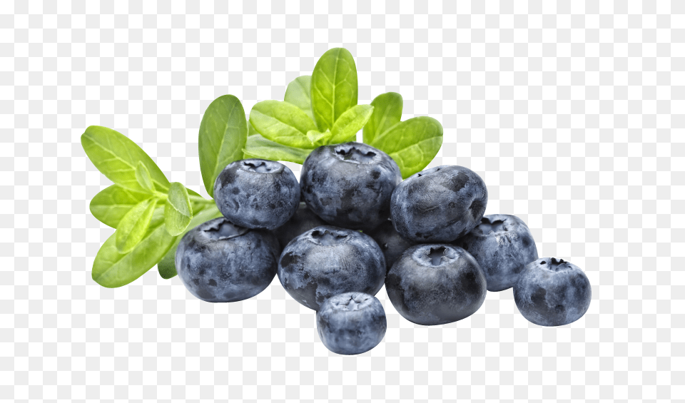 Blueberries, Berry, Blueberry, Food, Fruit Free Transparent Png