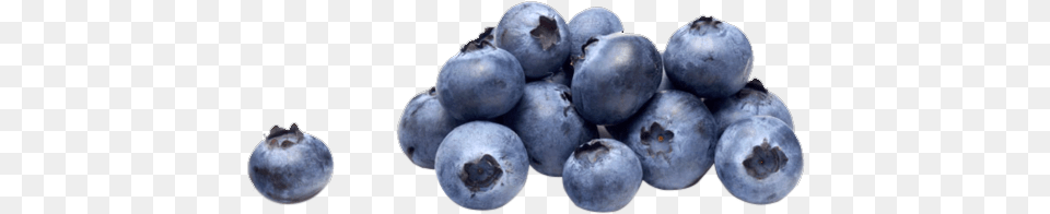 Blueberries, Produce, Berry, Blueberry, Food Png Image
