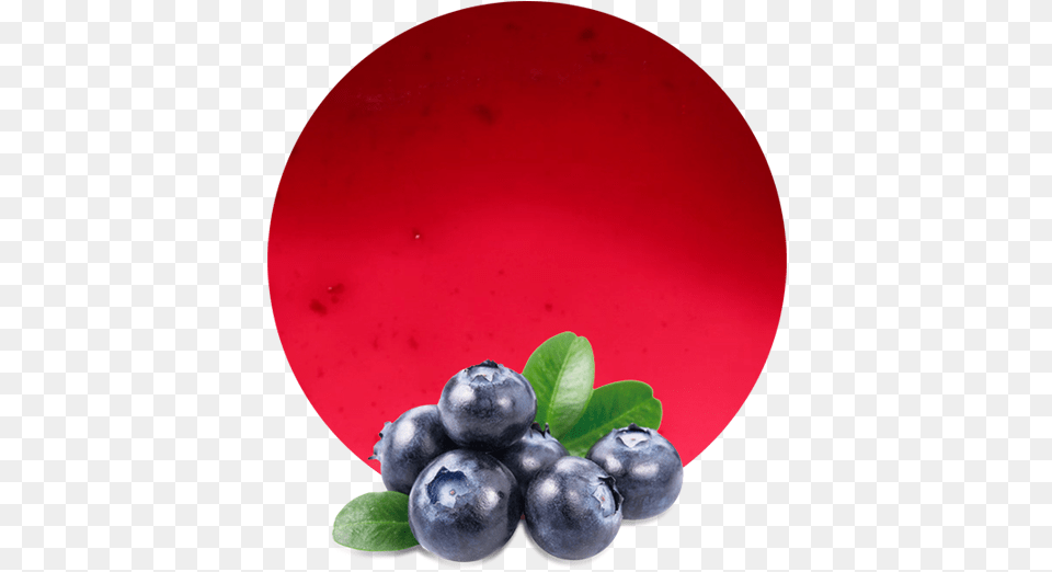 Blueberries, Berry, Blueberry, Food, Fruit Free Png