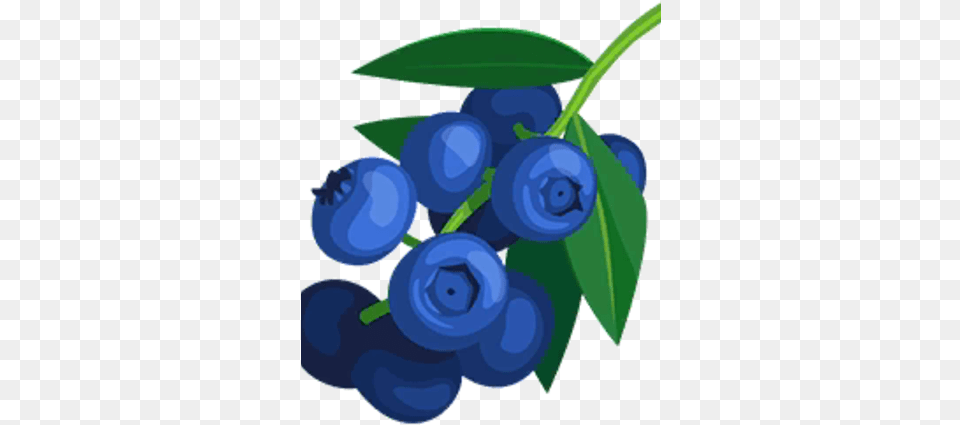 Blueberries, Berry, Blueberry, Food, Fruit Free Transparent Png