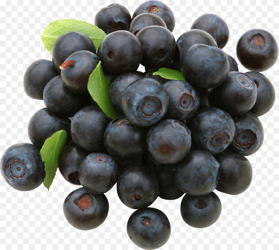 Blueberries Free Transparent Png