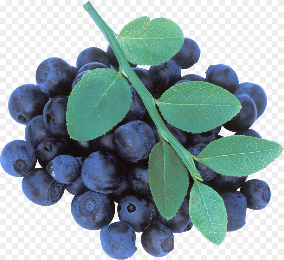 Blueberries Free Png Download