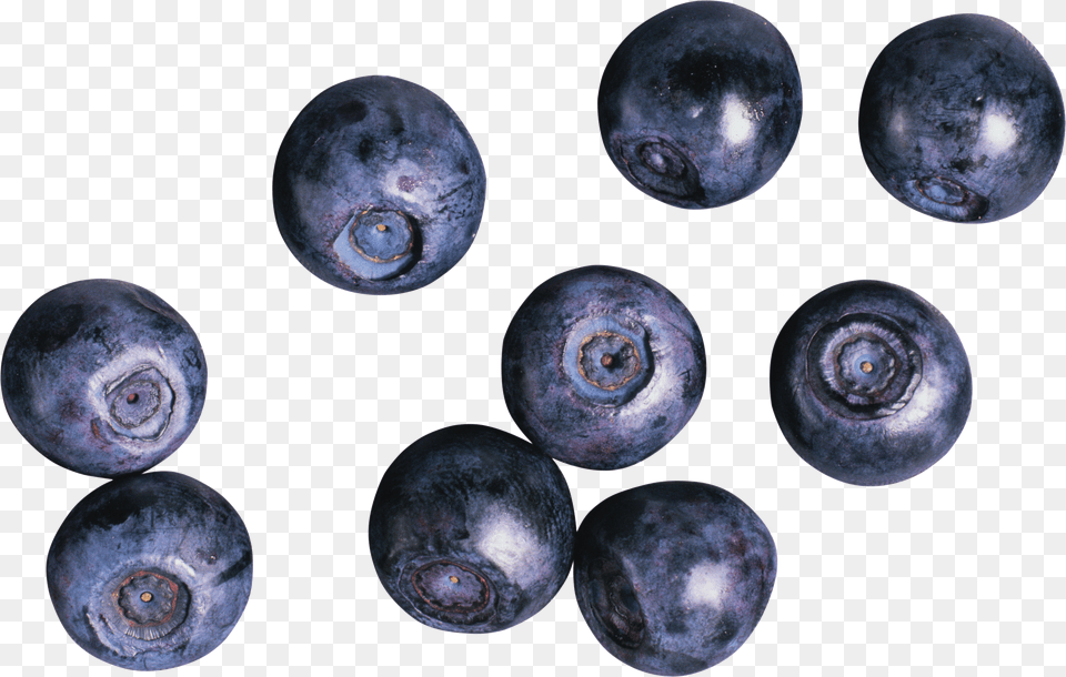 Blueberries Free Transparent Png