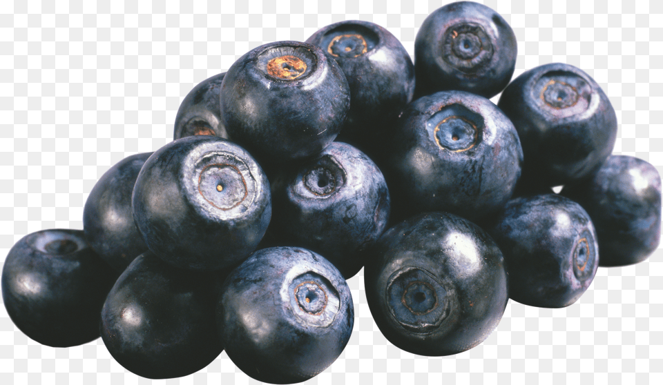 Blueberries Png Image