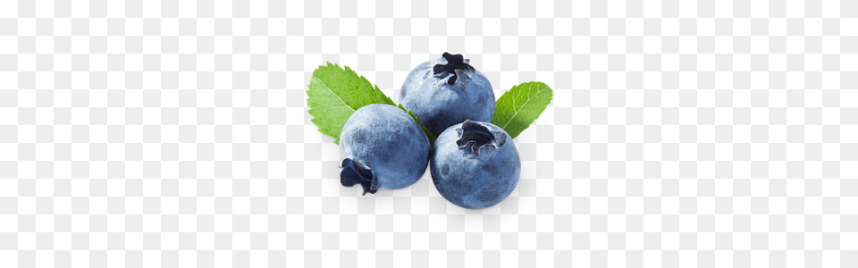 Blueberries, Berry, Blueberry, Food, Fruit Png Image