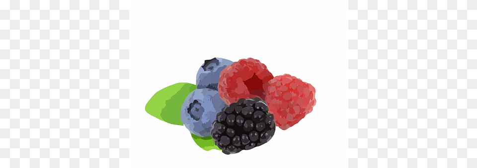 Blueberries Berry, Blueberry, Food, Fruit Free Transparent Png