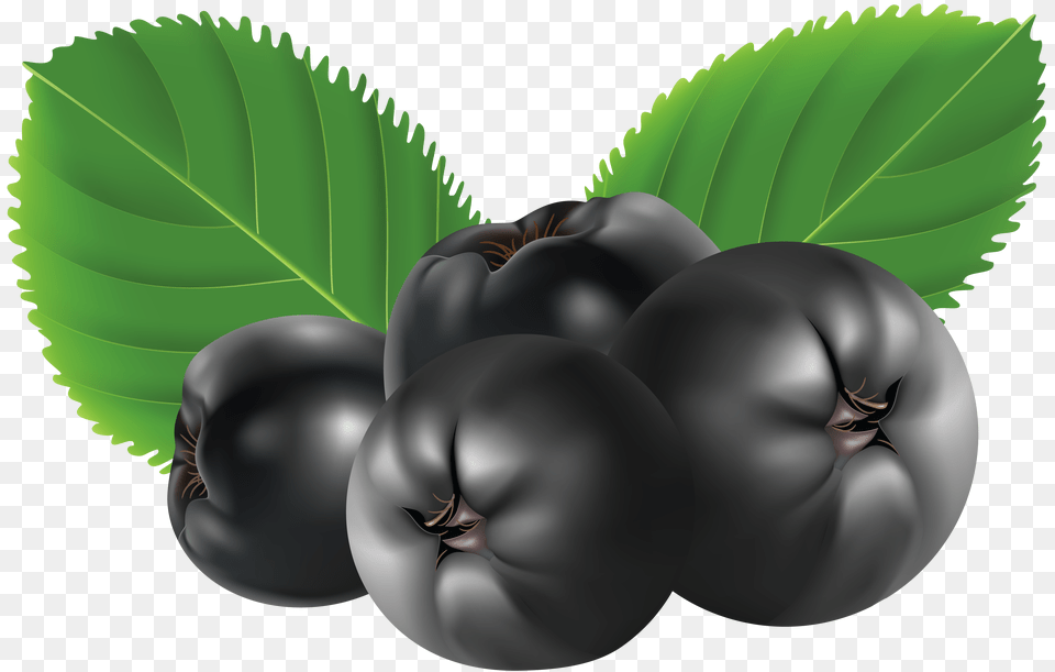 Blueberries, Berry, Blueberry, Food, Fruit Png