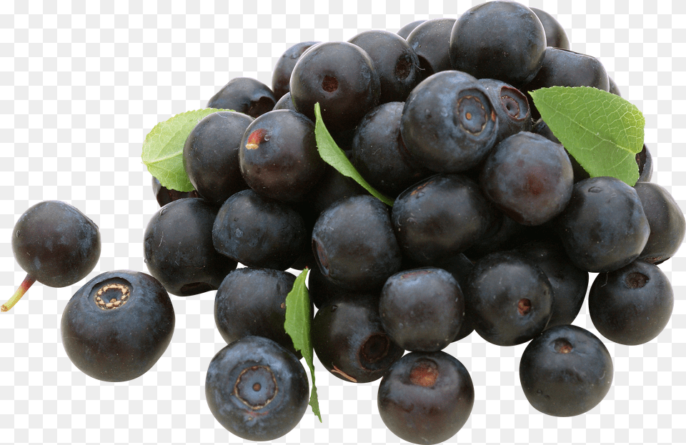 Blueberries Free Transparent Png