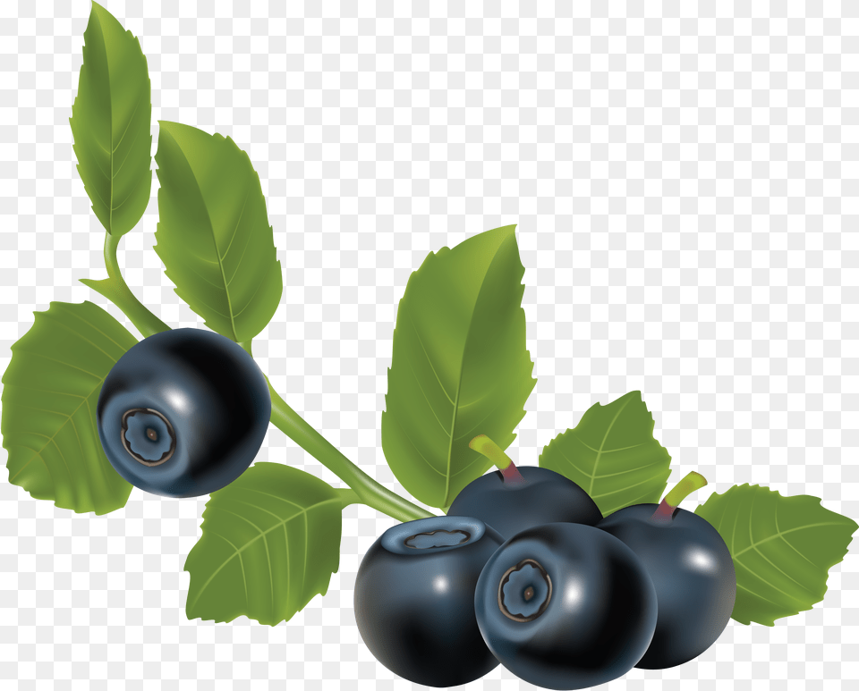 Blueberries, Berry, Blueberry, Produce, Food Png Image