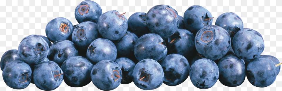 Blueberries Free Png Download