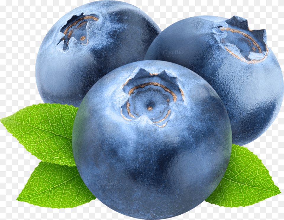Blueberries, Plant, Berry, Blueberry, Food Png Image