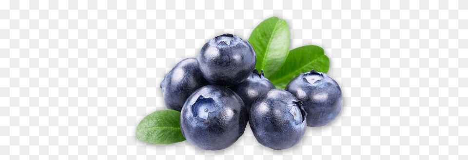 Blueberries, Berry, Blueberry, Food, Fruit Png Image