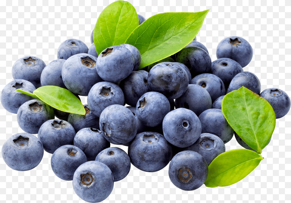 Blueberries, Sign, Symbol Png Image