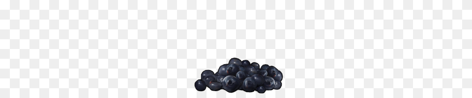 Blueberries, Berry, Blueberry, Food, Fruit Free Png