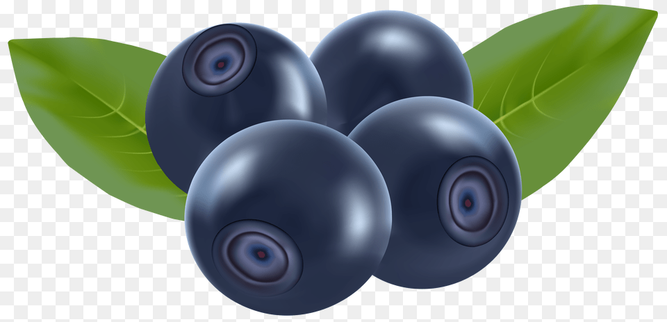 Blueberries Png