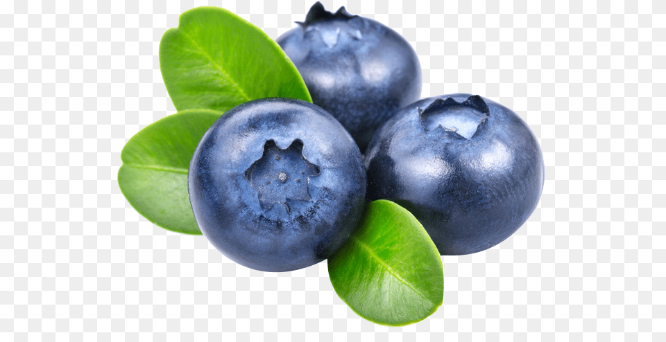 Blueberries, Berry, Blueberry, Food, Fruit Free Transparent Png