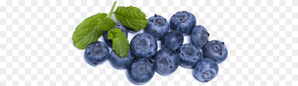 Blueberries Blueberries Brain Food, Berry, Blueberry, Fruit, Plant Free Transparent Png