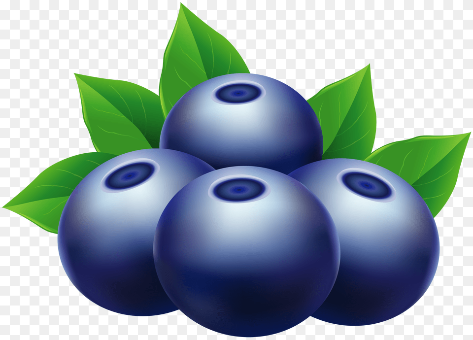 Blueberries Clip Art Png Image