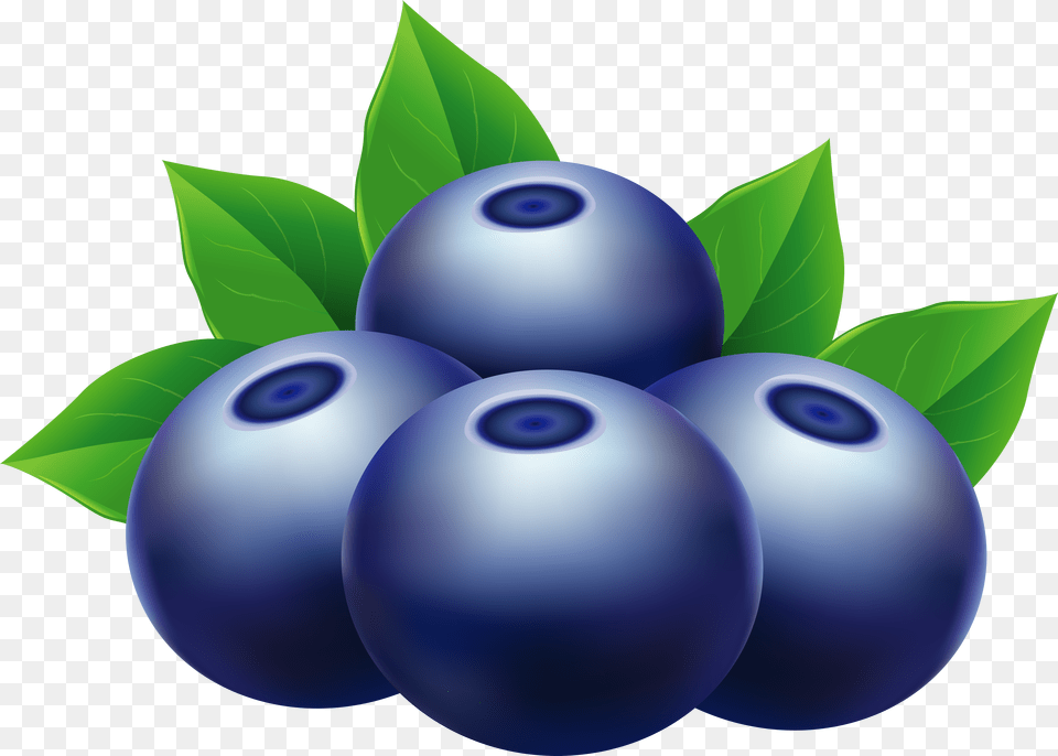 Blueberries Clip Art Background Blueberries Clip Art Free Png Download