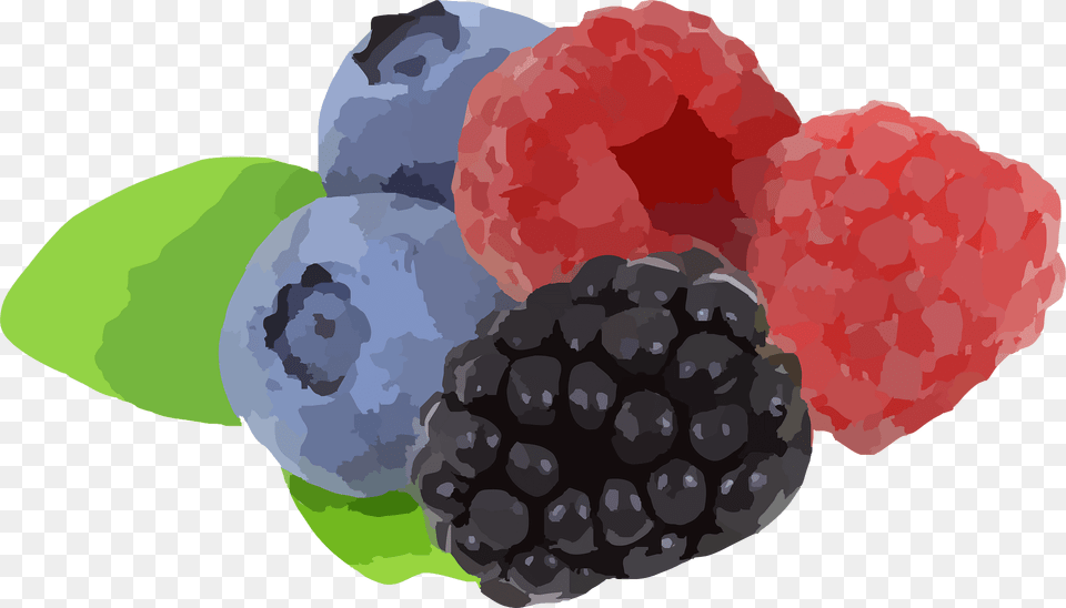 Blueberries Clipart, Berry, Blueberry, Food, Fruit Free Png Download