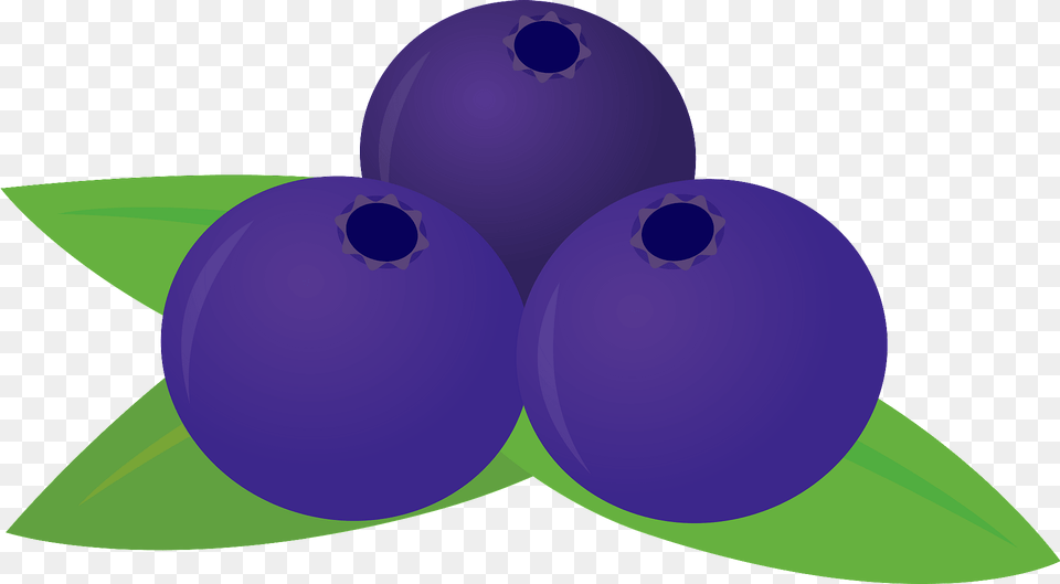 Blueberries Clipart, Plant, Berry, Blueberry, Purple Free Png Download