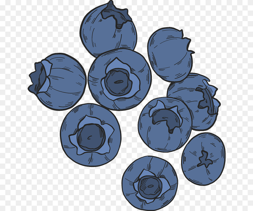 Blueberries Clipart Blueberry, Berry, Food, Fruit, Plant Png