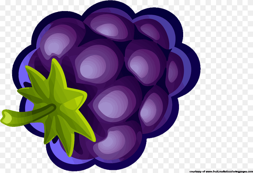 Blueberries Clipart Illustration, Food, Fruit, Grapes, Plant Png