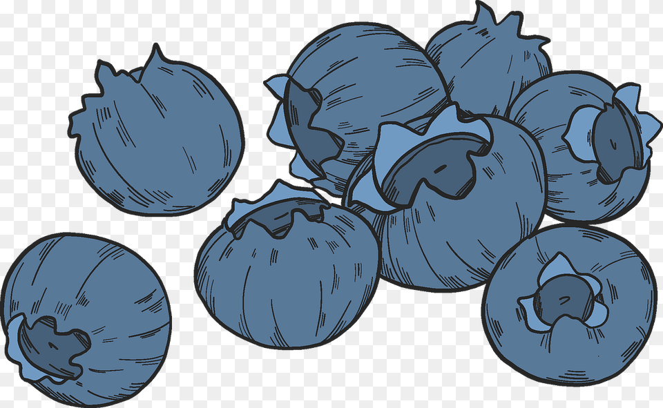 Blueberries Clipart Seedless Fruit, Berry, Blueberry, Food, Plant Free Transparent Png