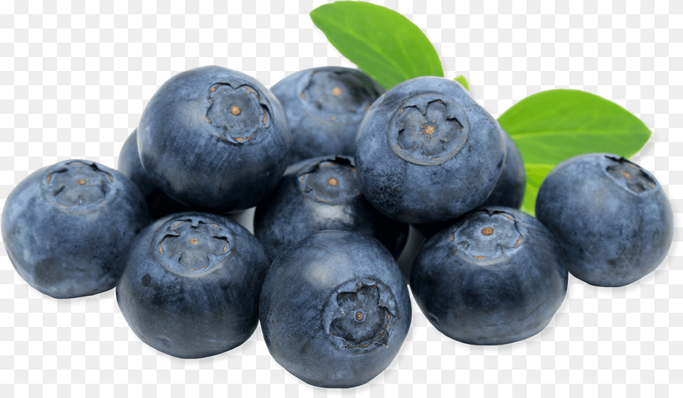 Blueberries Close Up, Berry, Blueberry, Food, Fruit Free Png Download