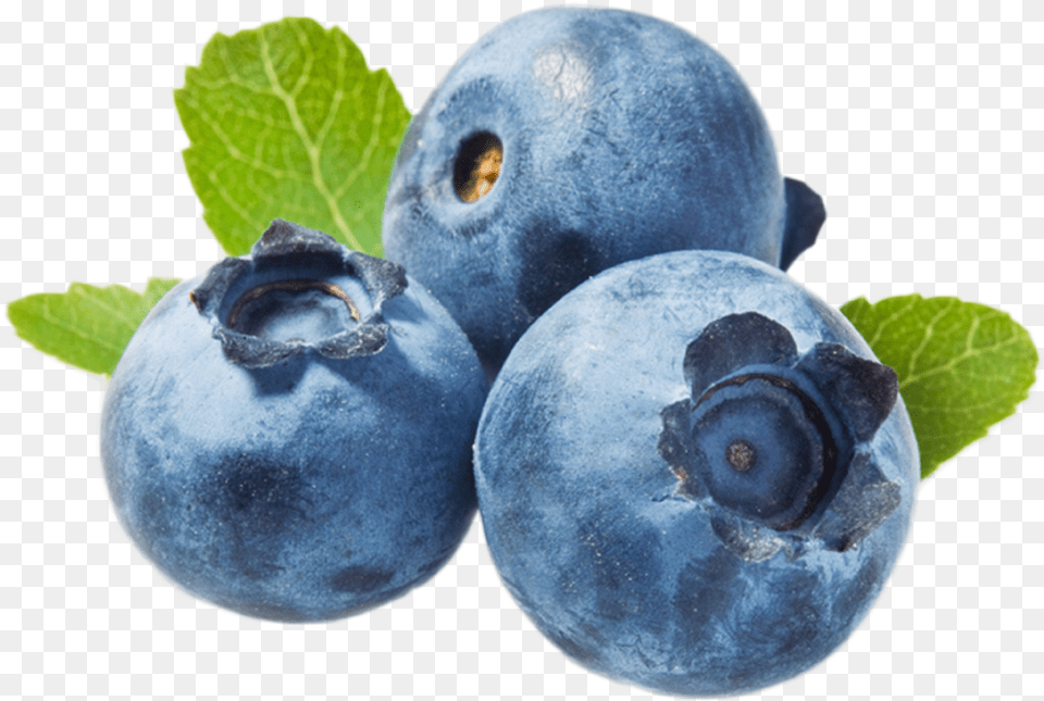 Blueberries Do You Say Blueberry In Spanish, Berry, Food, Fruit, Plant Png