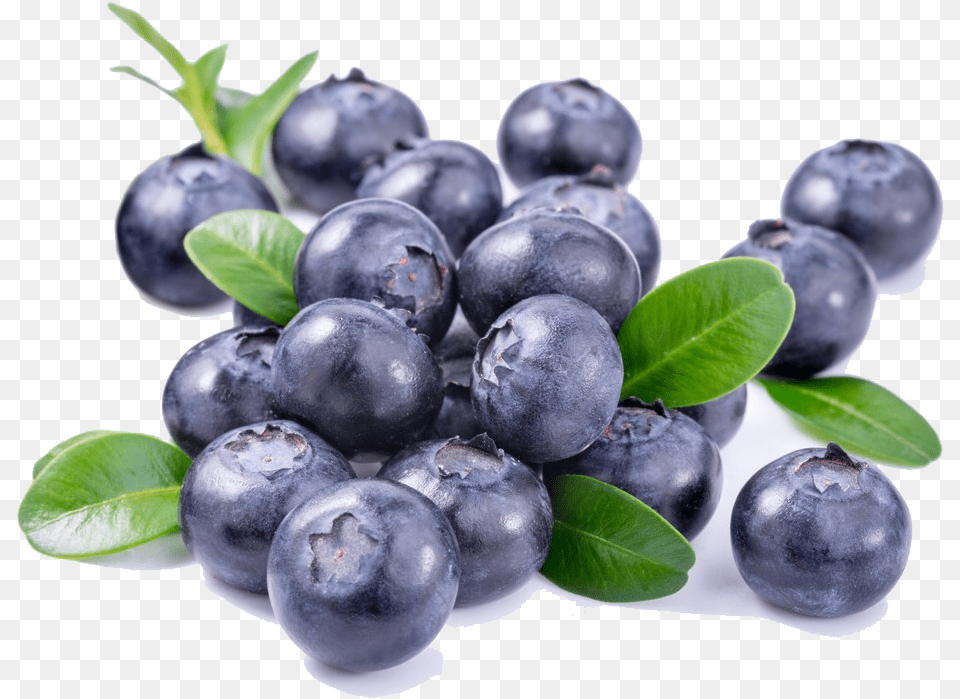 Blueberries File Download Vaccinium Myrtillus Flower Extract, Berry, Blueberry, Food, Fruit Free Transparent Png